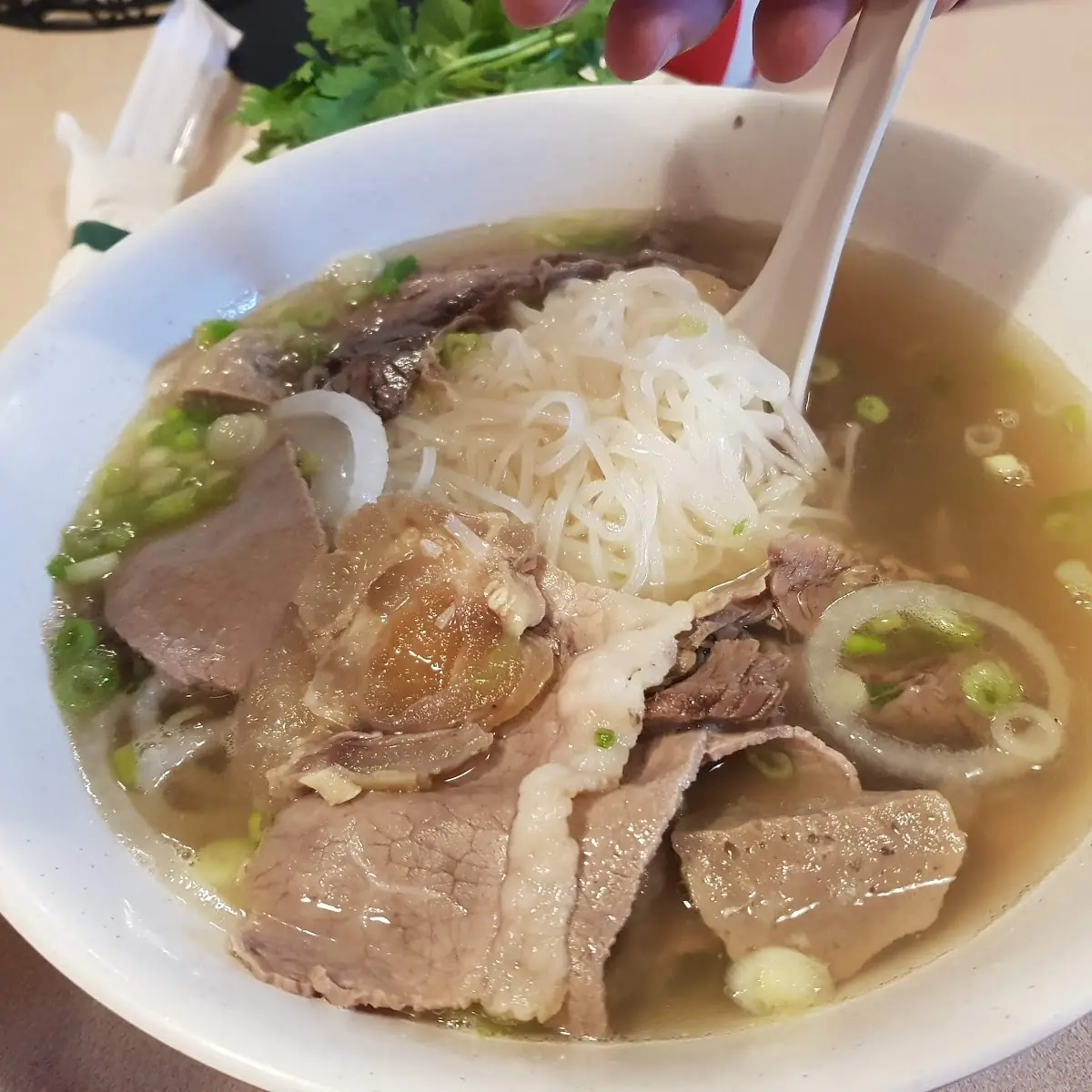 Beef Broth Noodle Soup