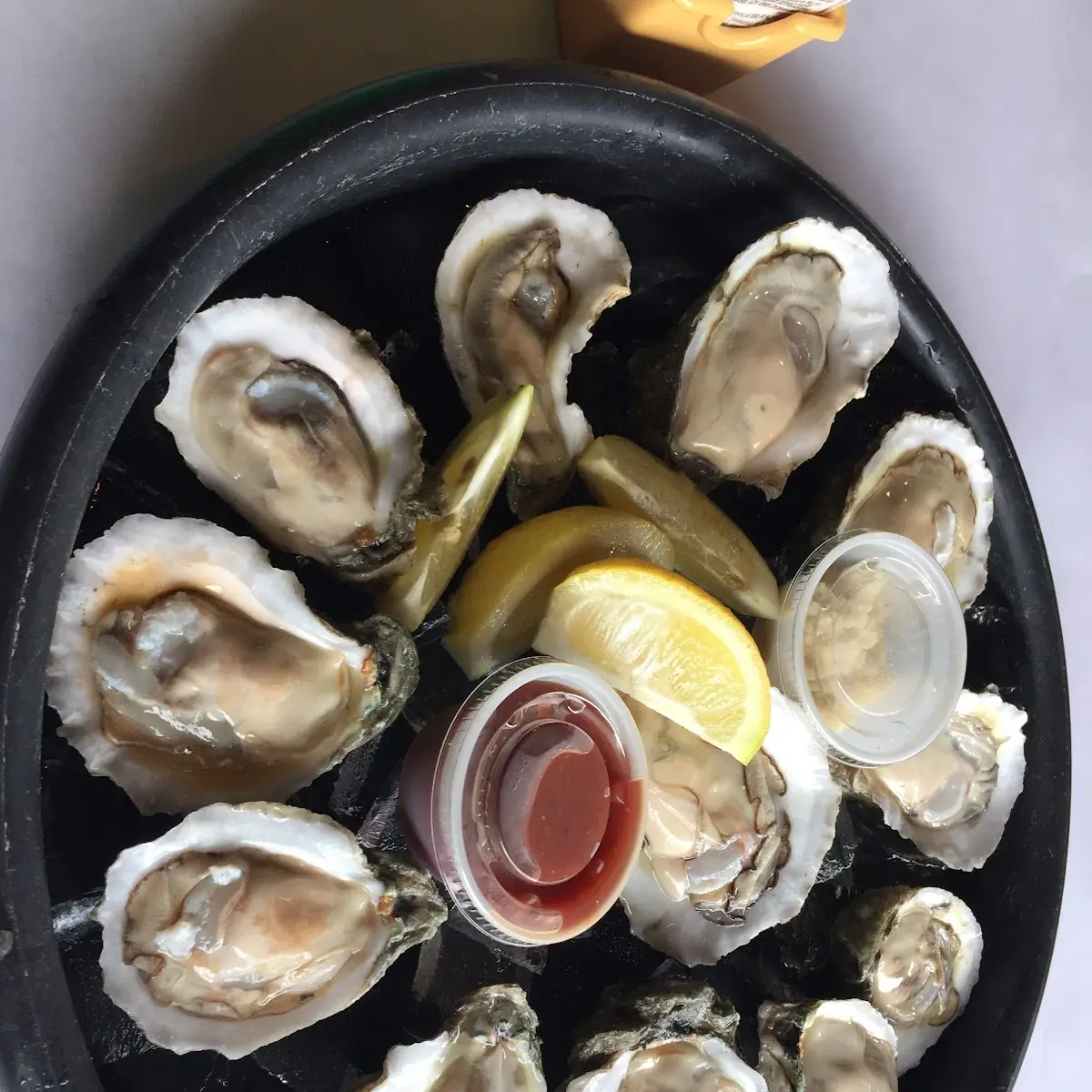 Raw Oysters on the Half Shell