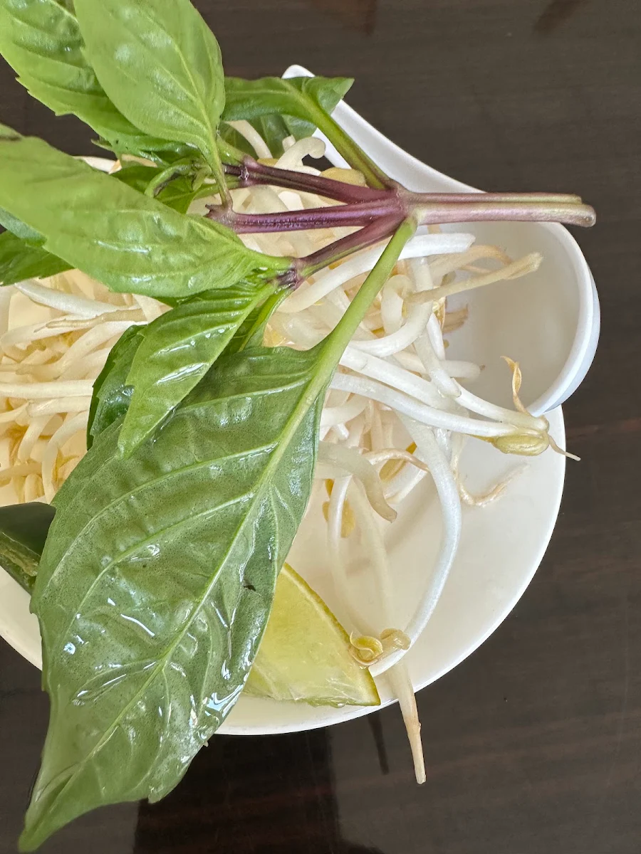 Beef Pho