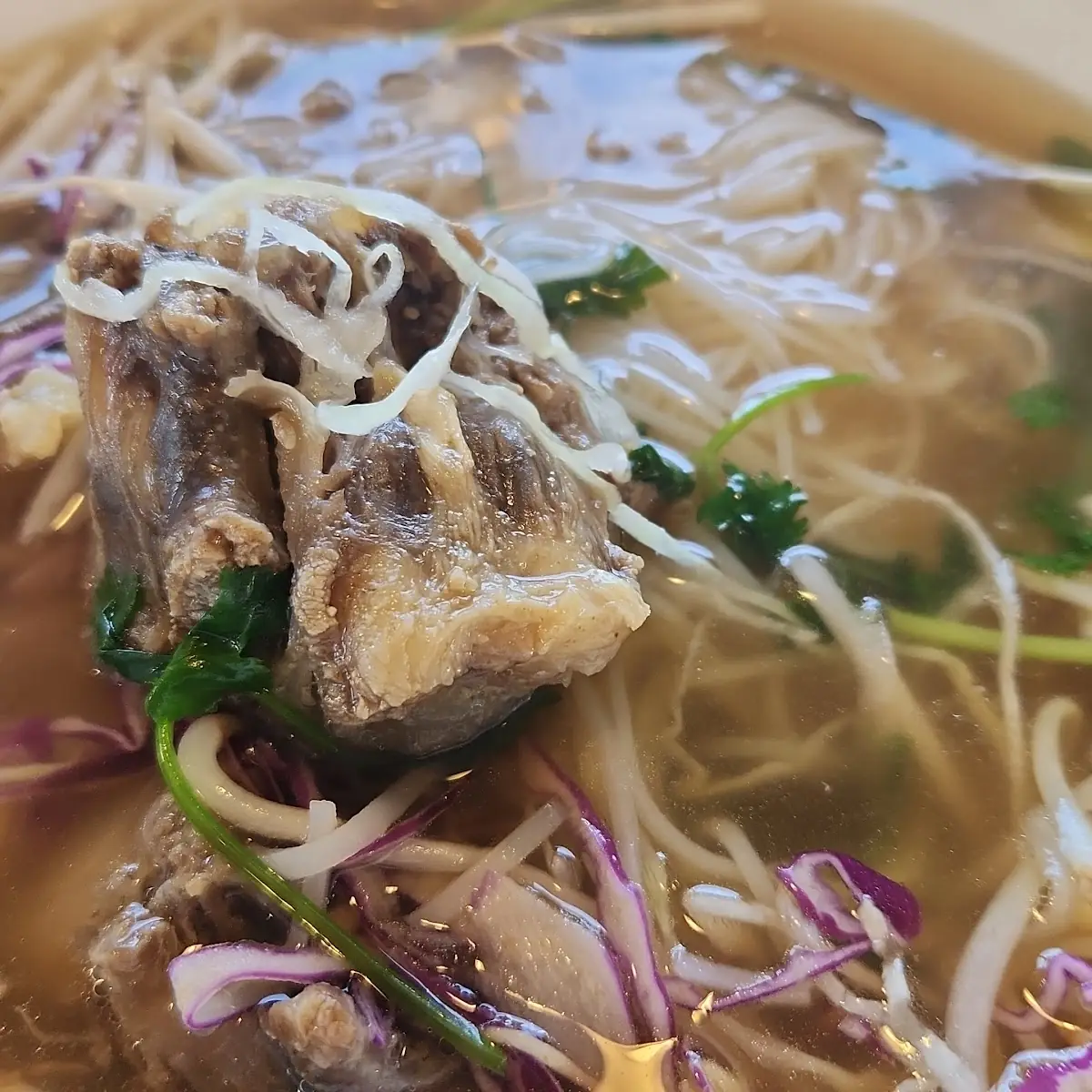 Ox Tail Pho