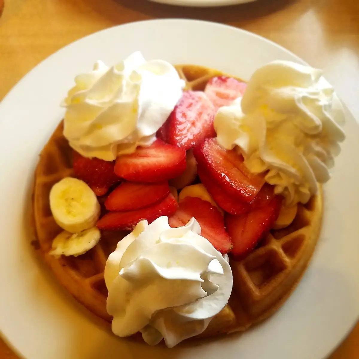 Belgian Waffle
