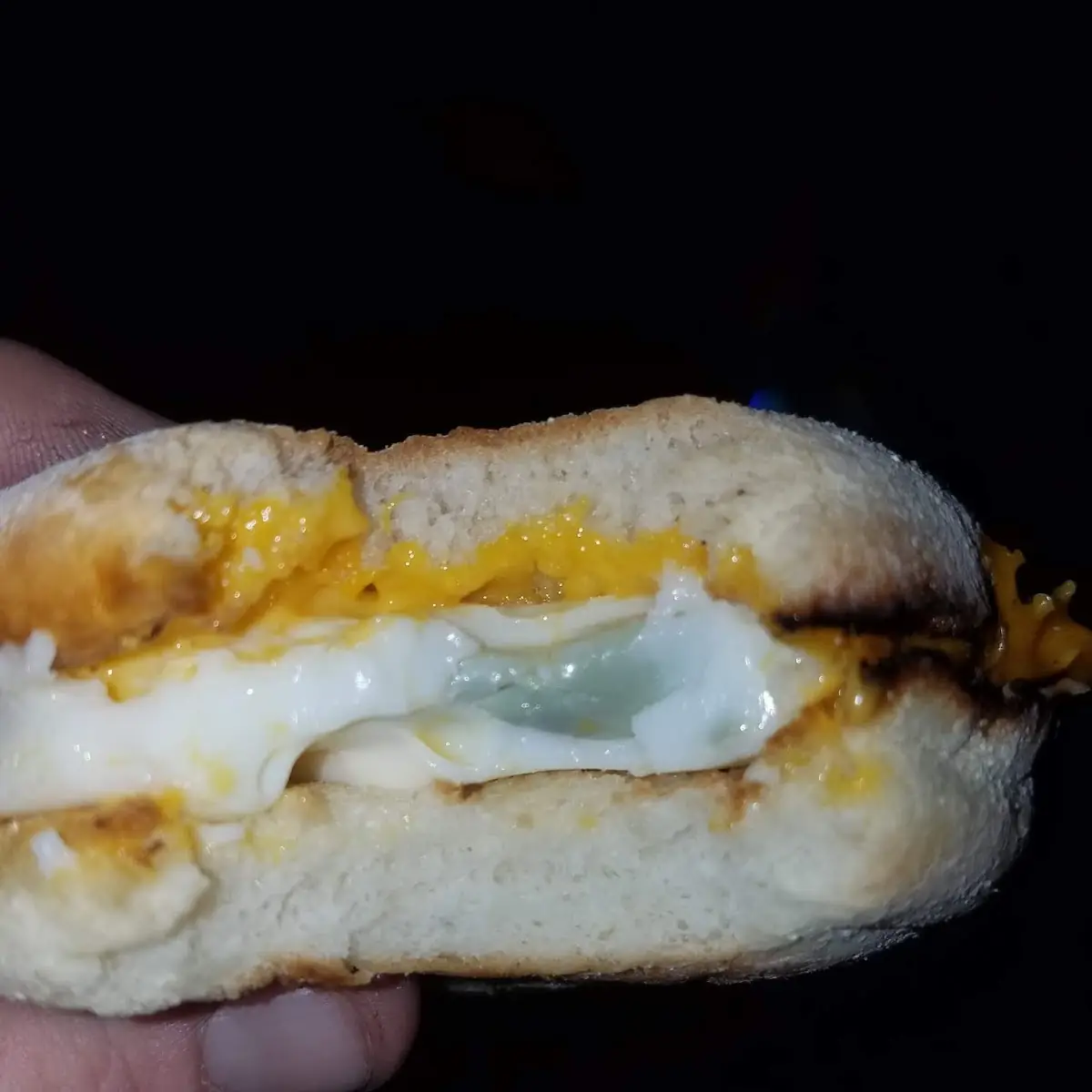 Moldy Egg and Cheese Mcmuffin
