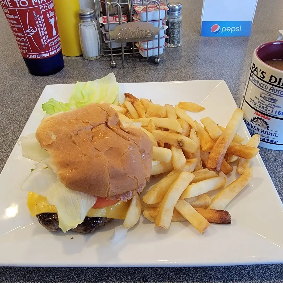 Cheeseburger with Fries