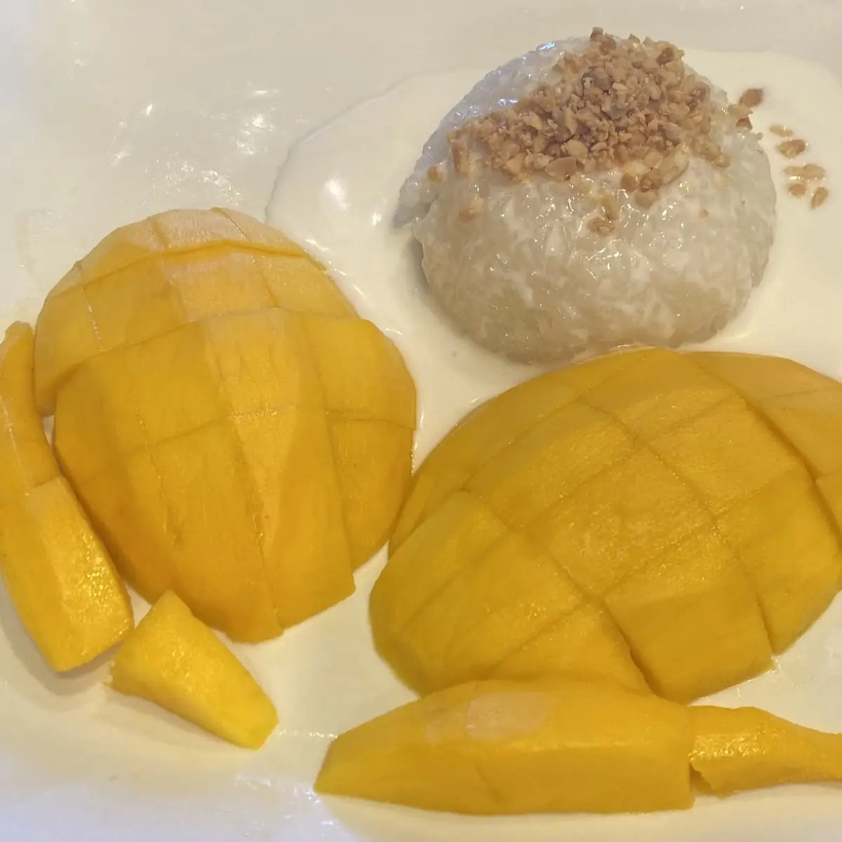 Mango Sticky Rice