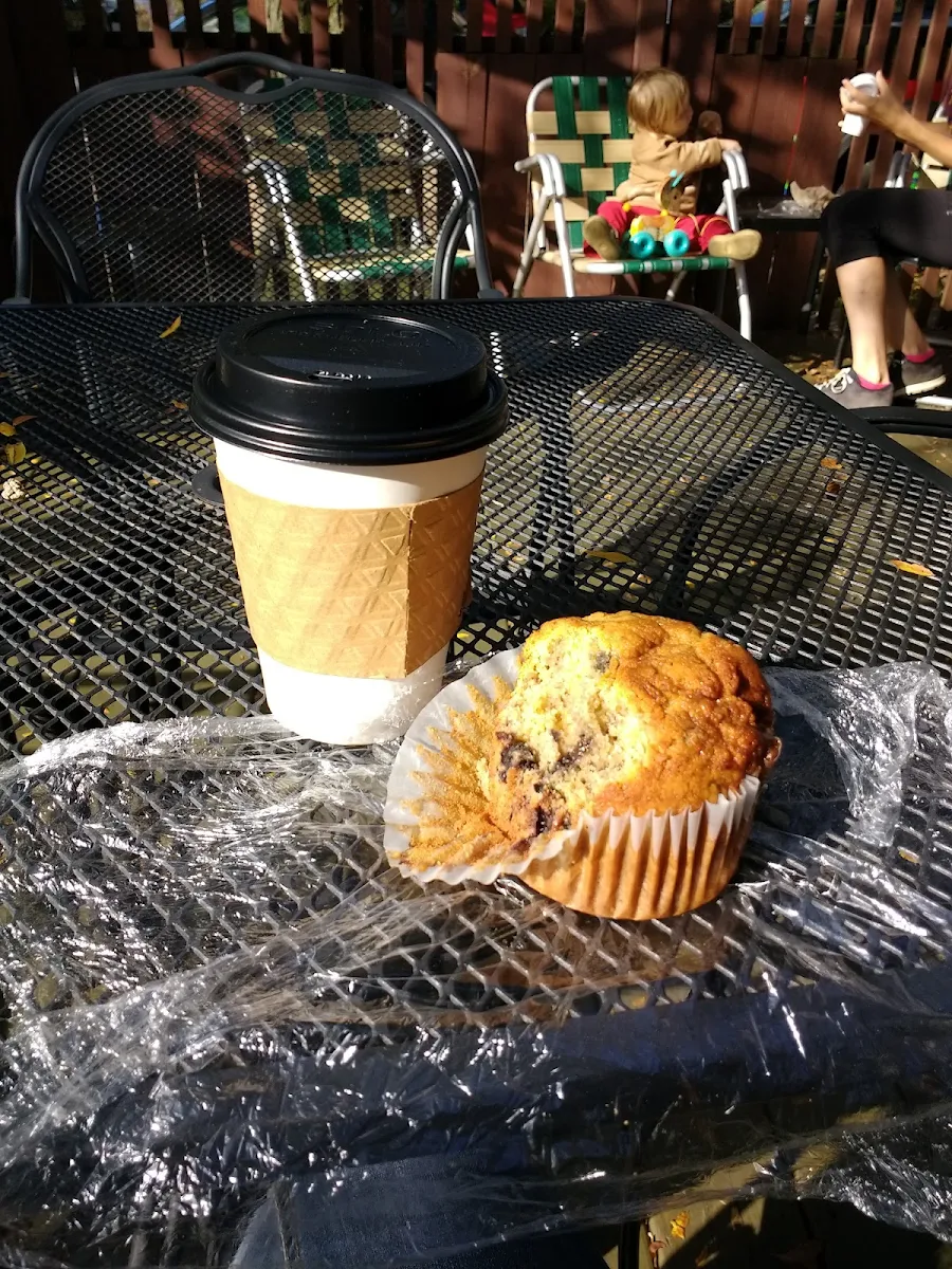 Blueberry Muffin