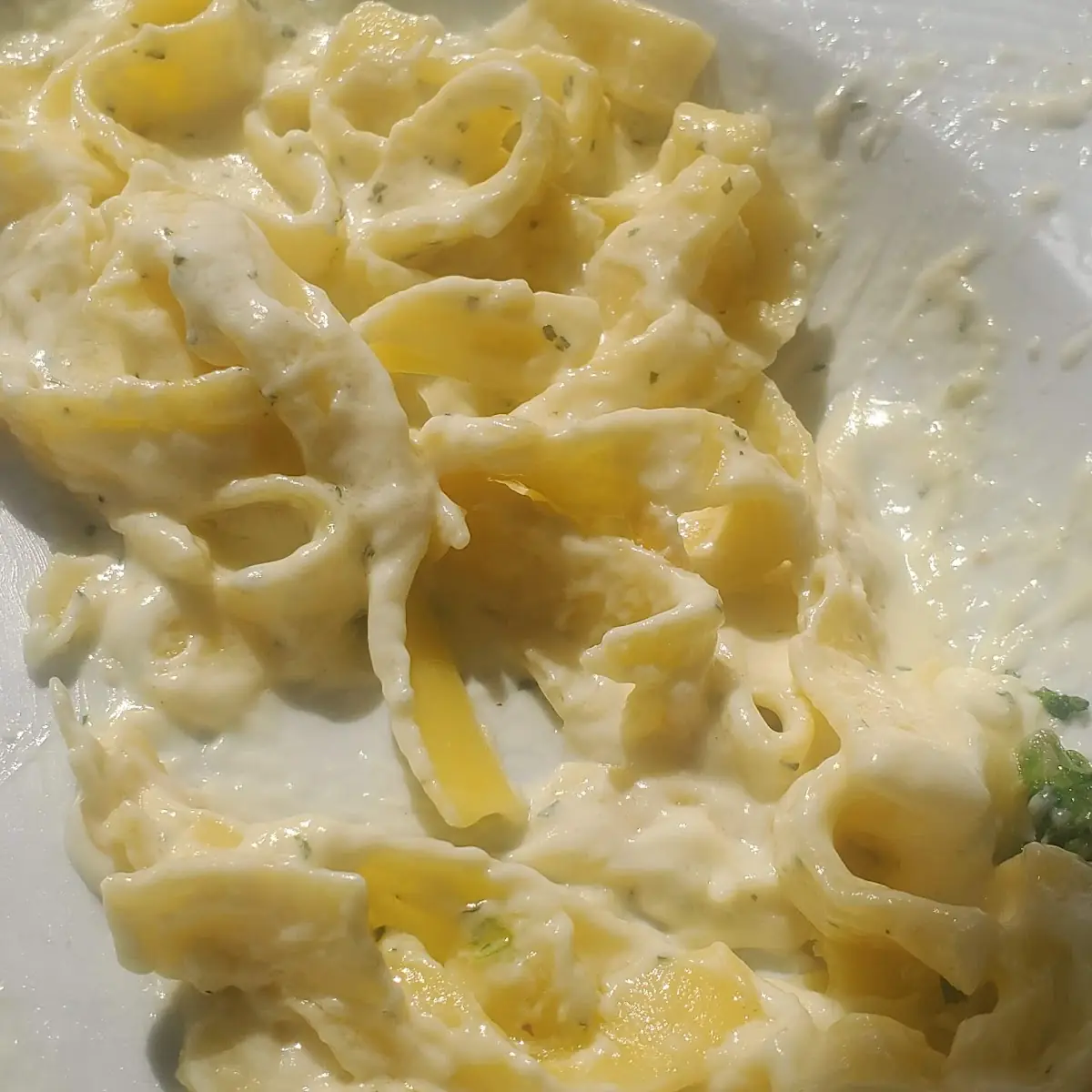 Fettuccine Alfredo