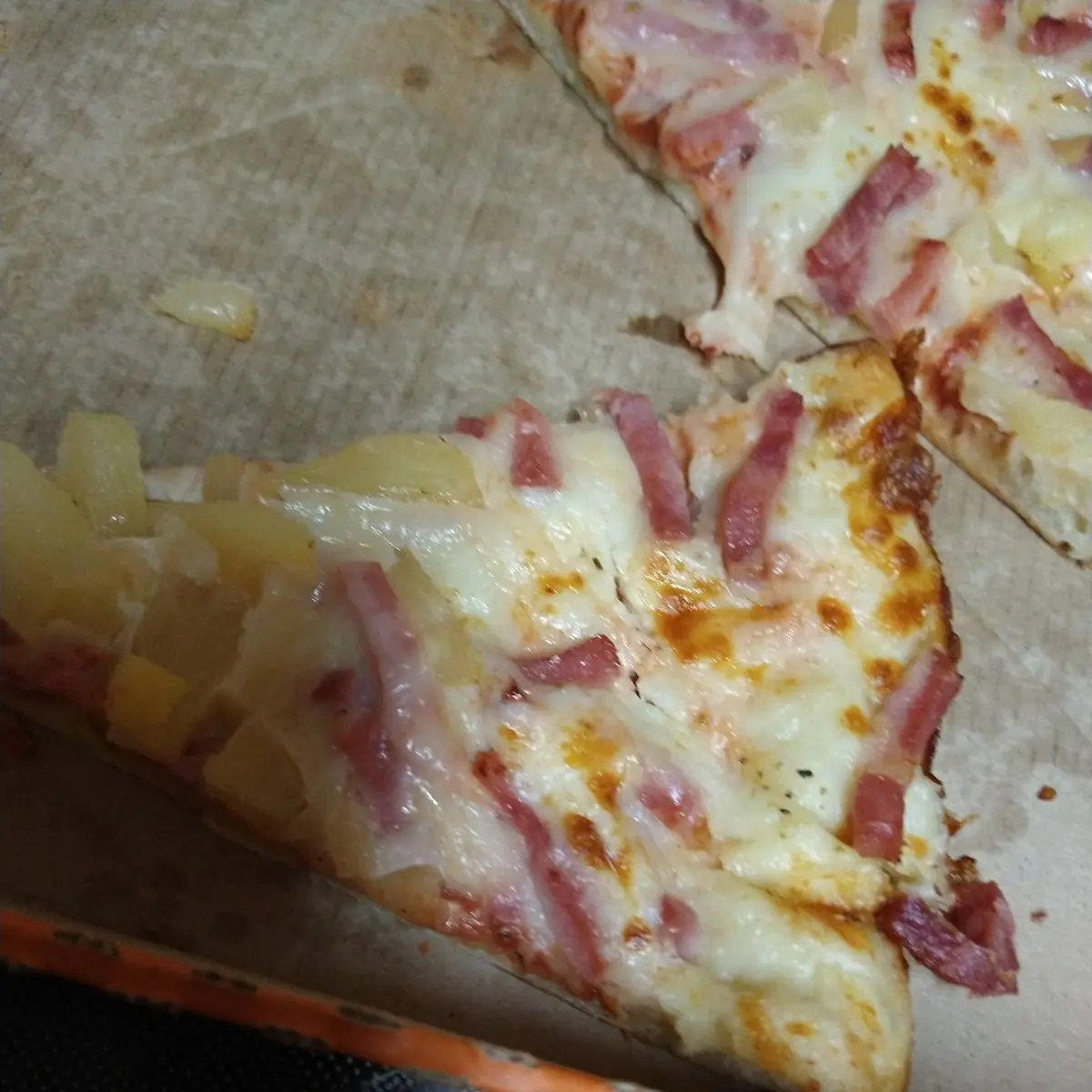 Pineapple and Bacon Extra Cheese Pizza Gone Wrong