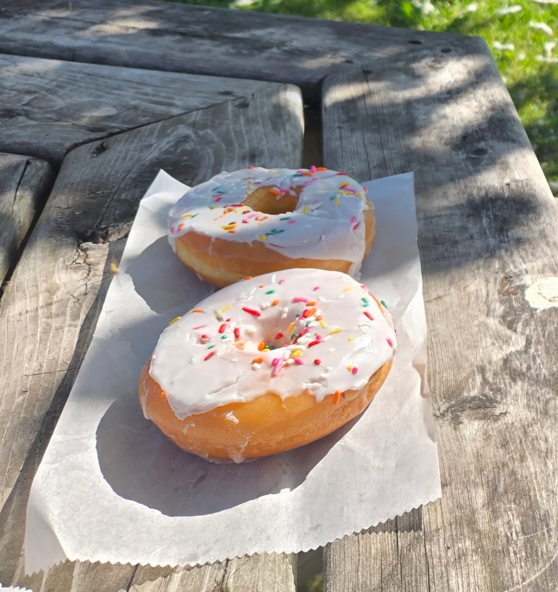Doughnut