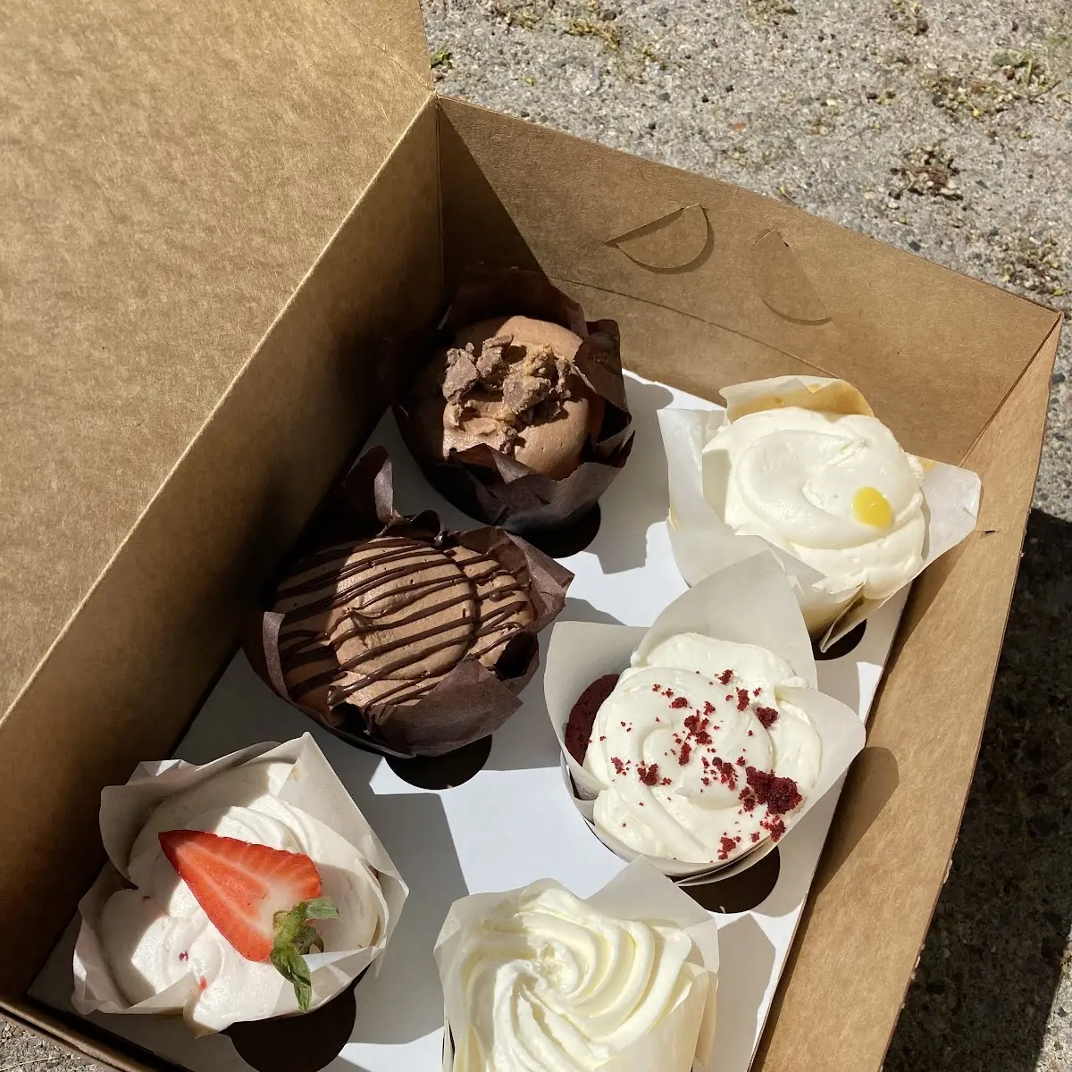 1 Doz Assorted Cupcakes