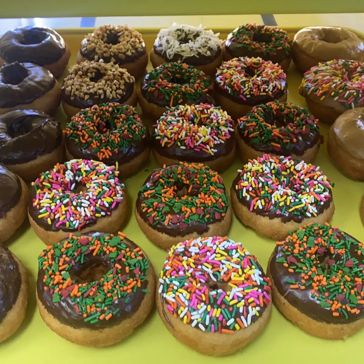 Raised Sprinkle Donut