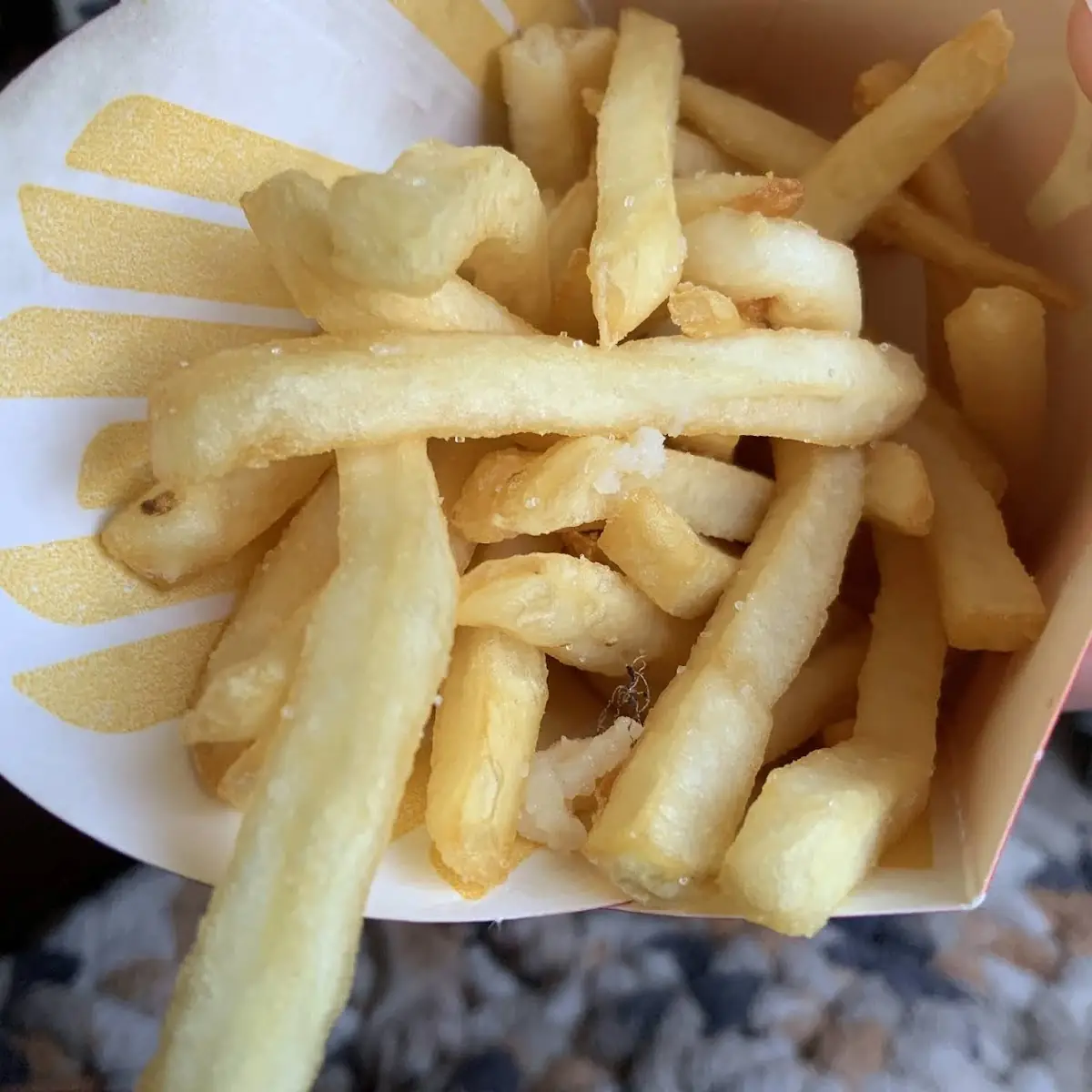 World Famous Fries
