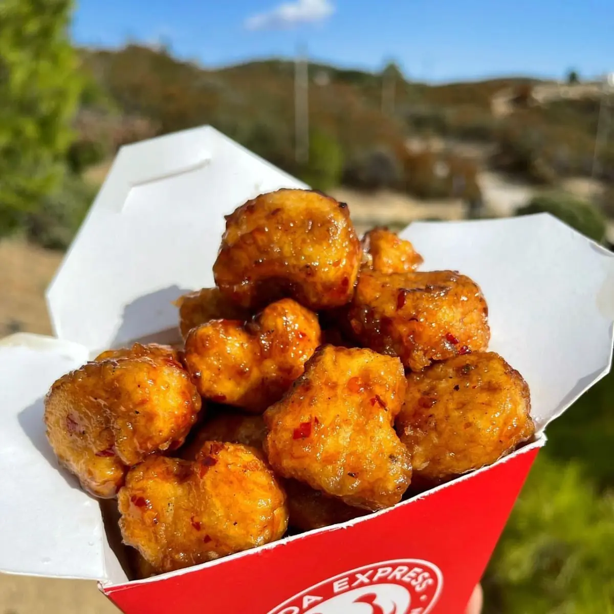 Orange Chicken Bites