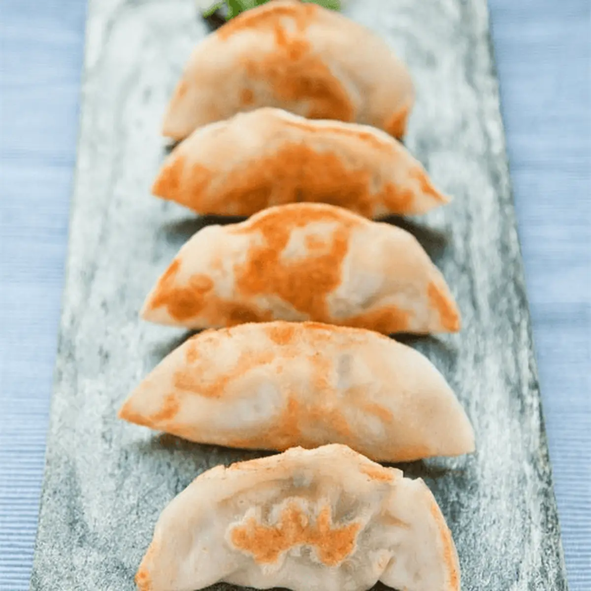 Meat Dumplings Pan Fried