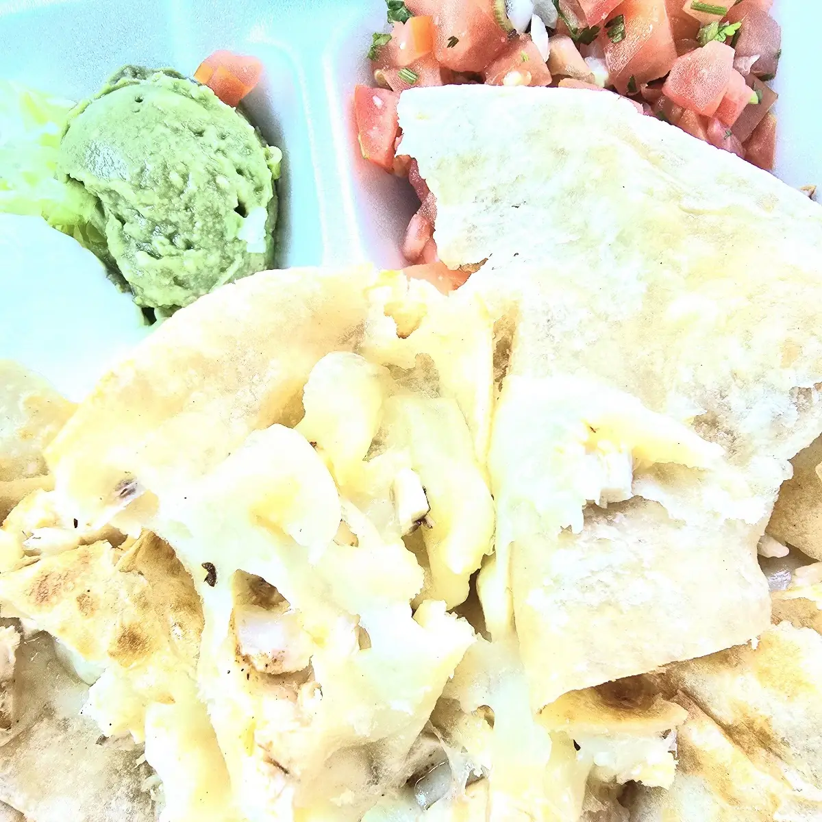 Chicken Quesadilla