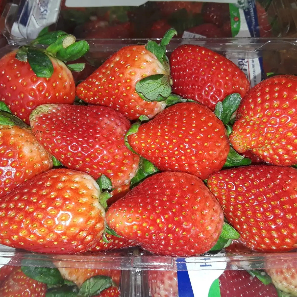 Strawberry Shake