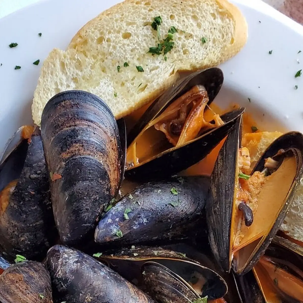 Black Bear Bay Mussels
