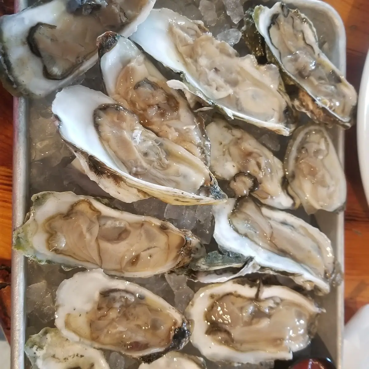 Raw Oysters