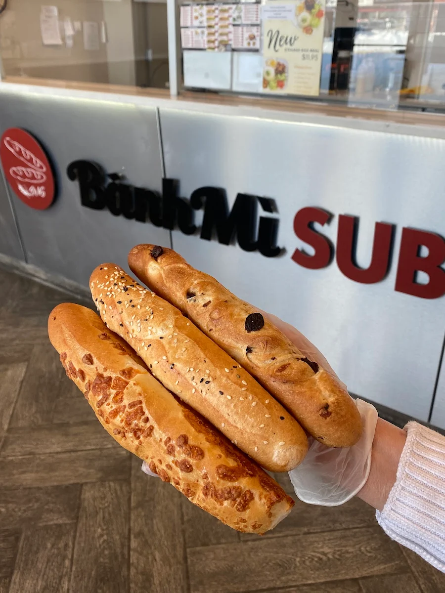 BMS Classic Cold Cut Sub - 11, BánhMì SUB