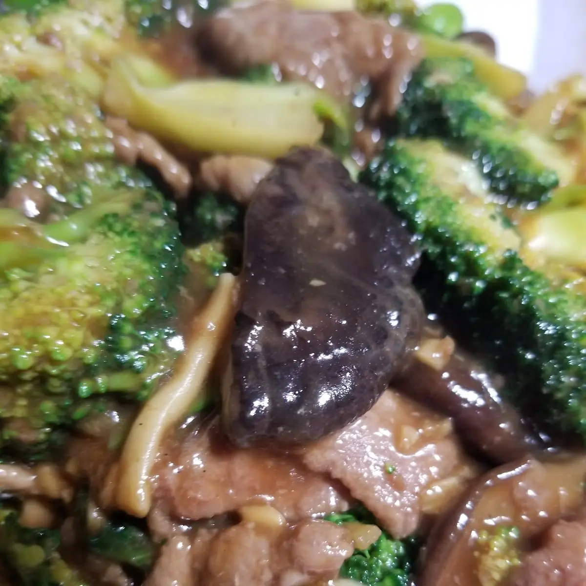Broccoli Beef over Noodles