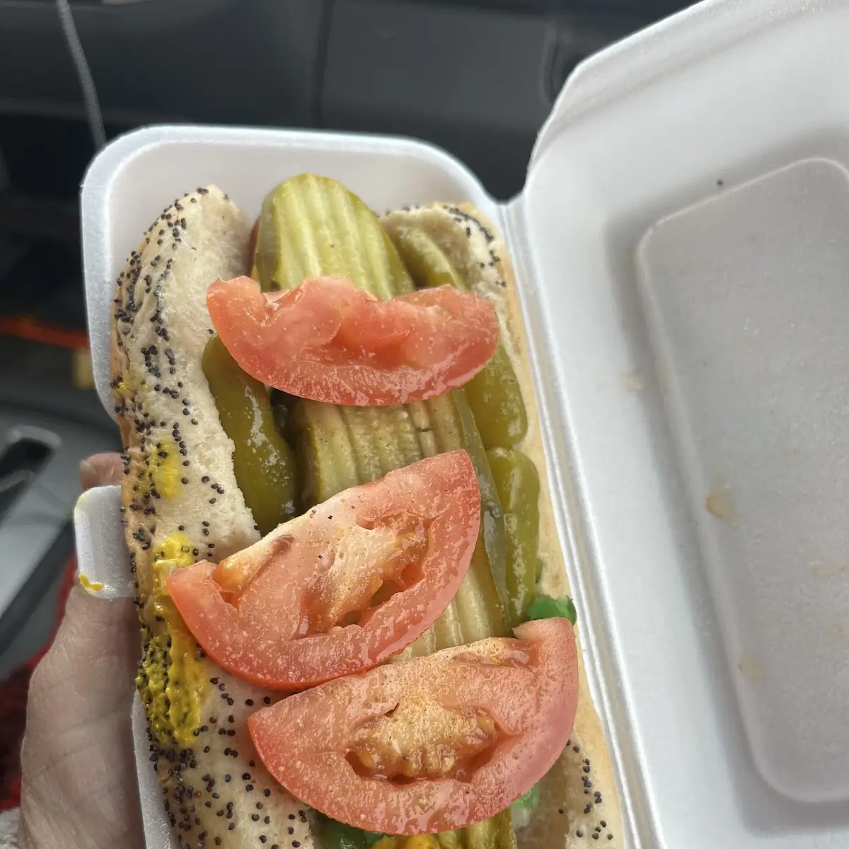 Chicago Style Hot Dog