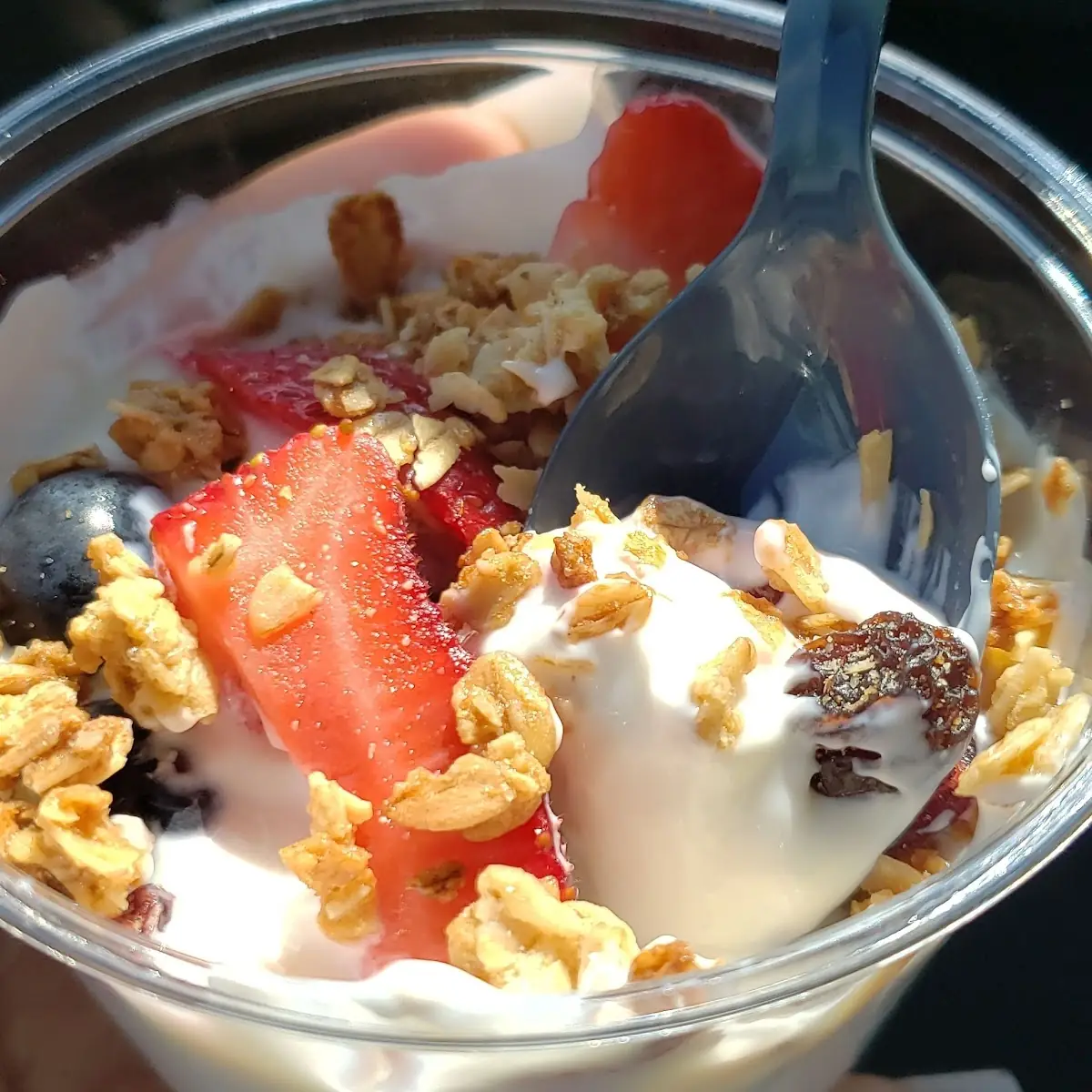 Greek Yogurt Parfait