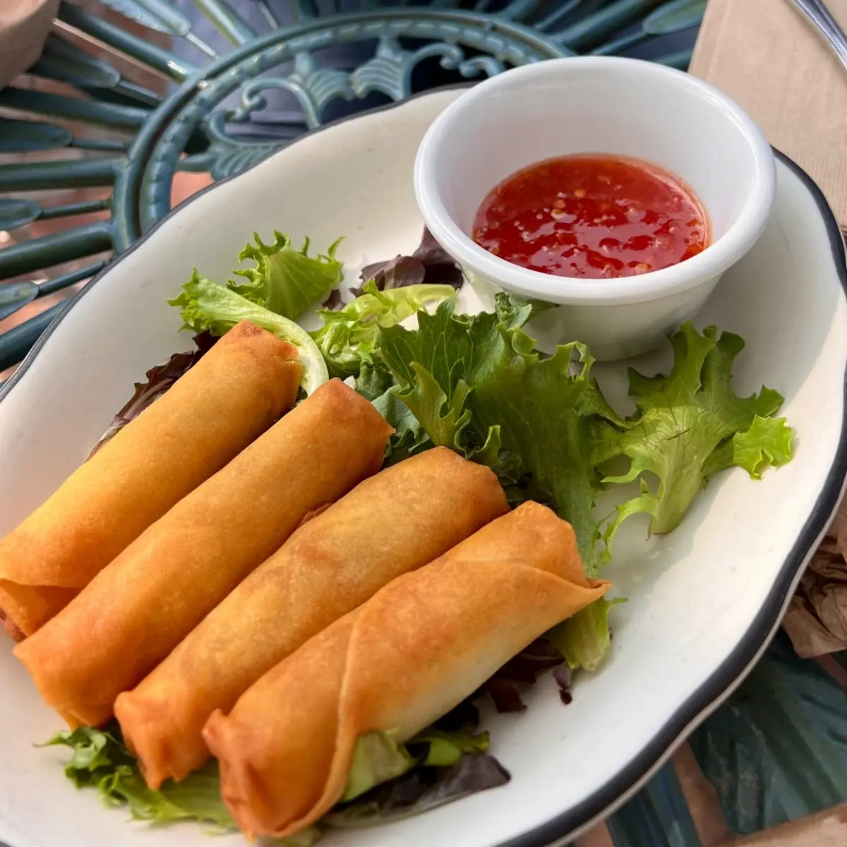 Vegetable Spring Roll V