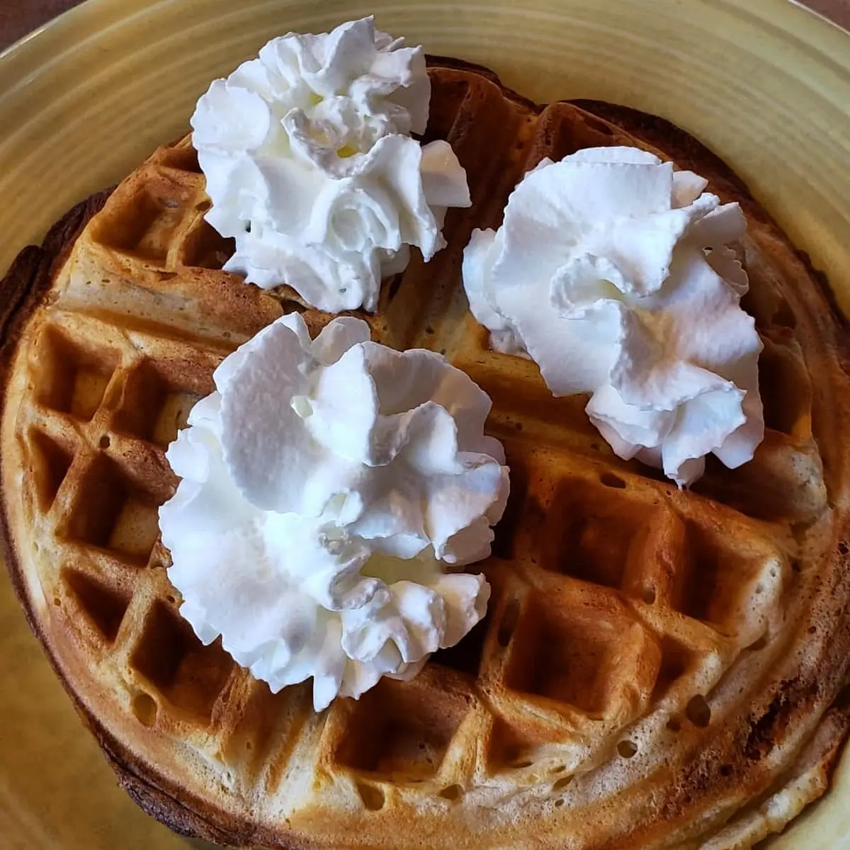 Homemade Belgian Waffle