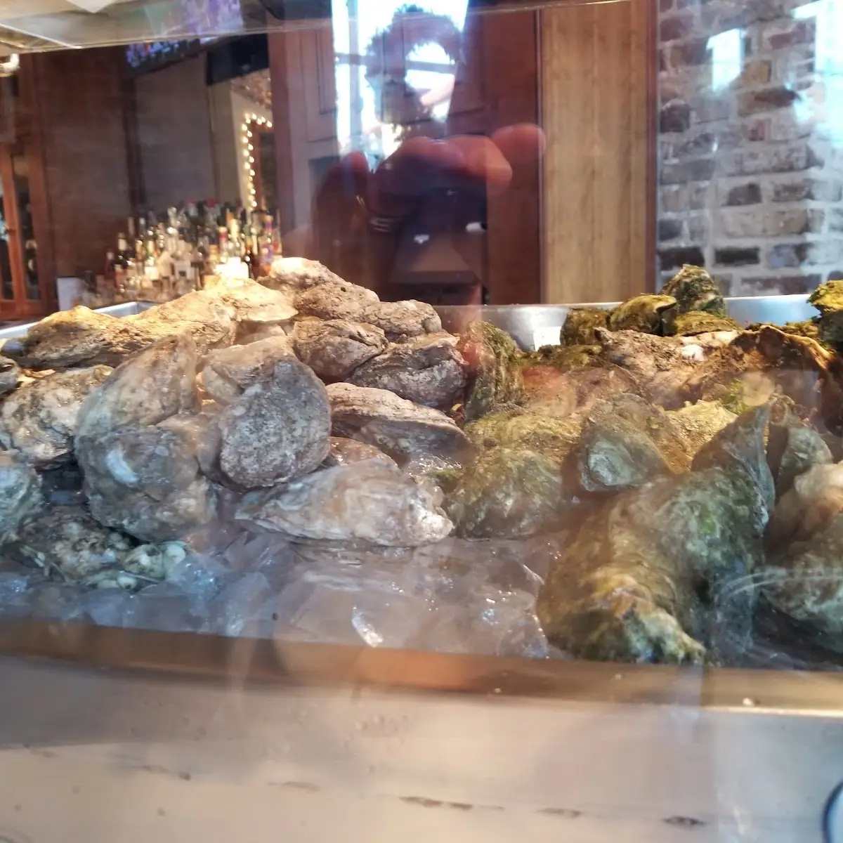 Fresh Oysters