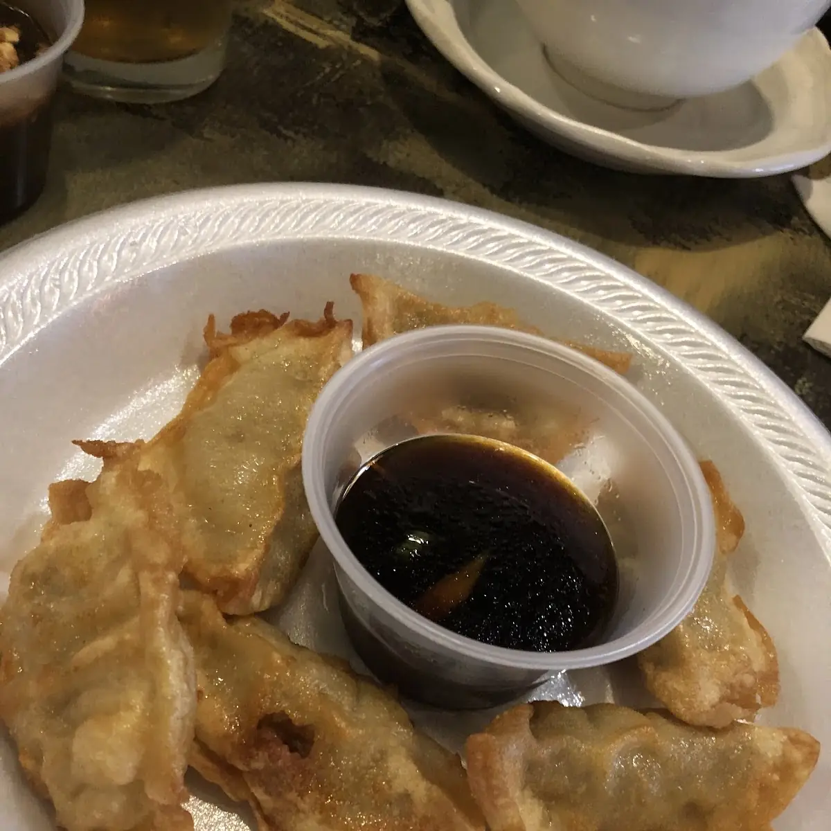 Fried or Steamed Dumplings