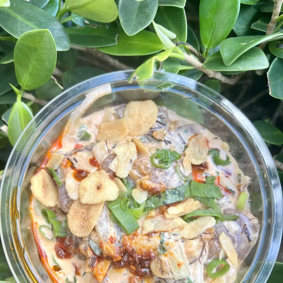 Spicy Creamy Garlic Ahi 1 2 lb