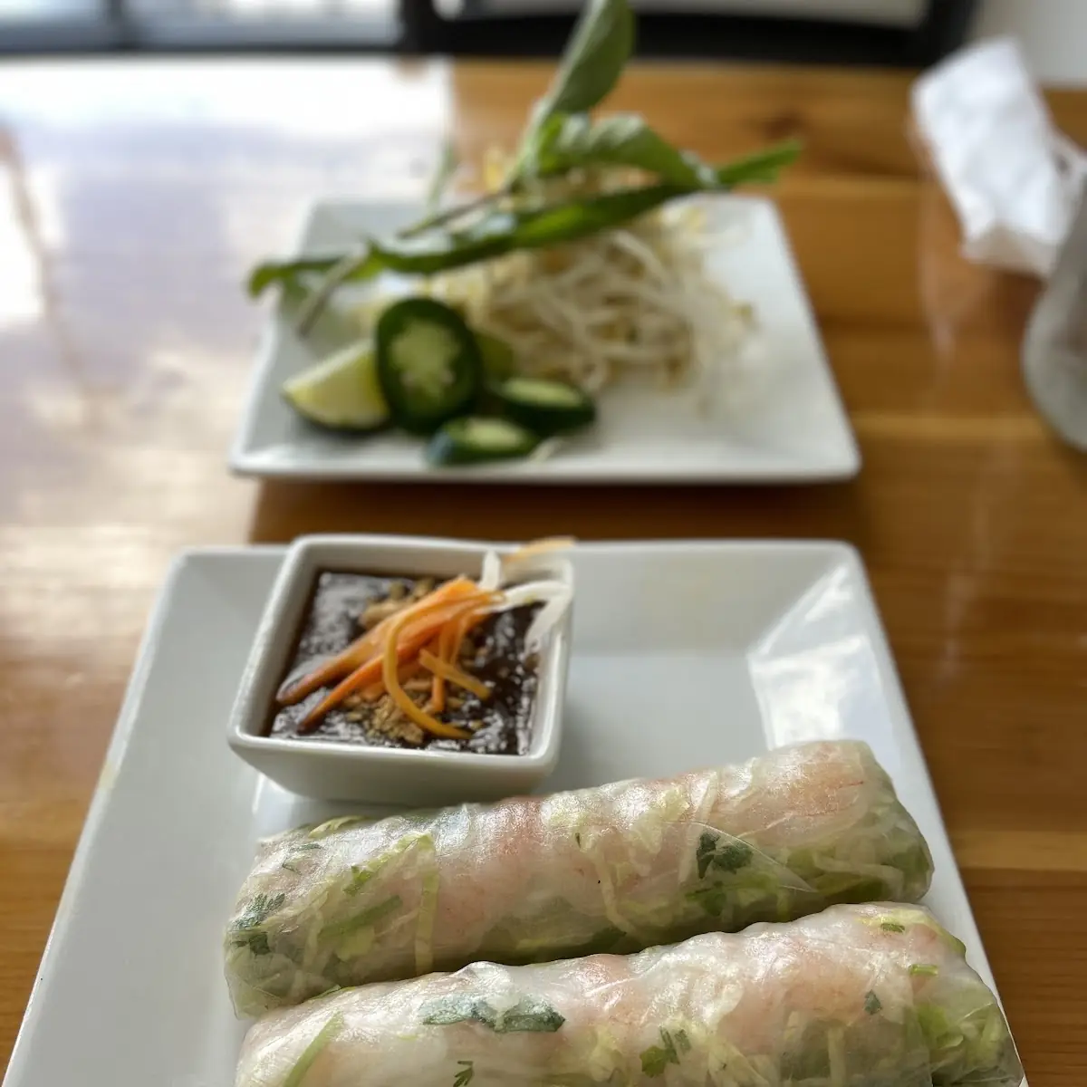 Fresh Spring Rolls