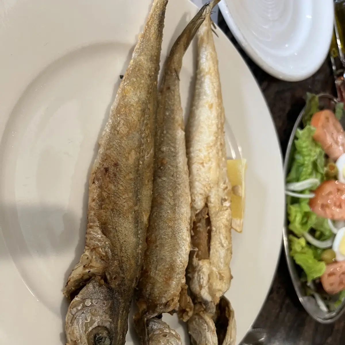 Sea Bass