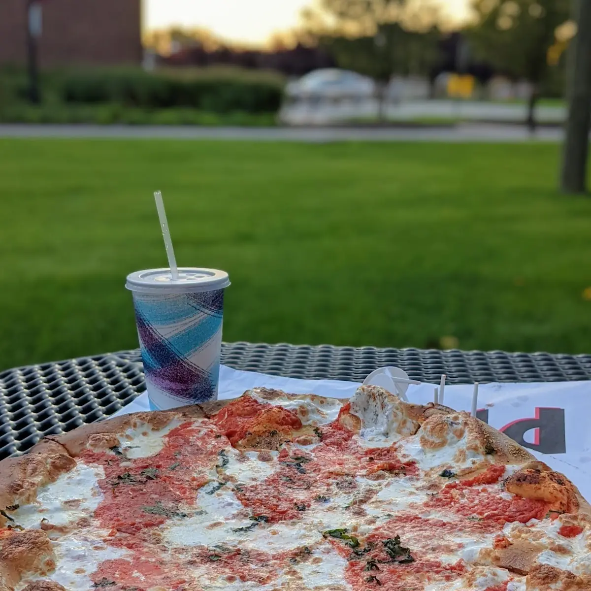 Cheese and Tomatoe Pizza