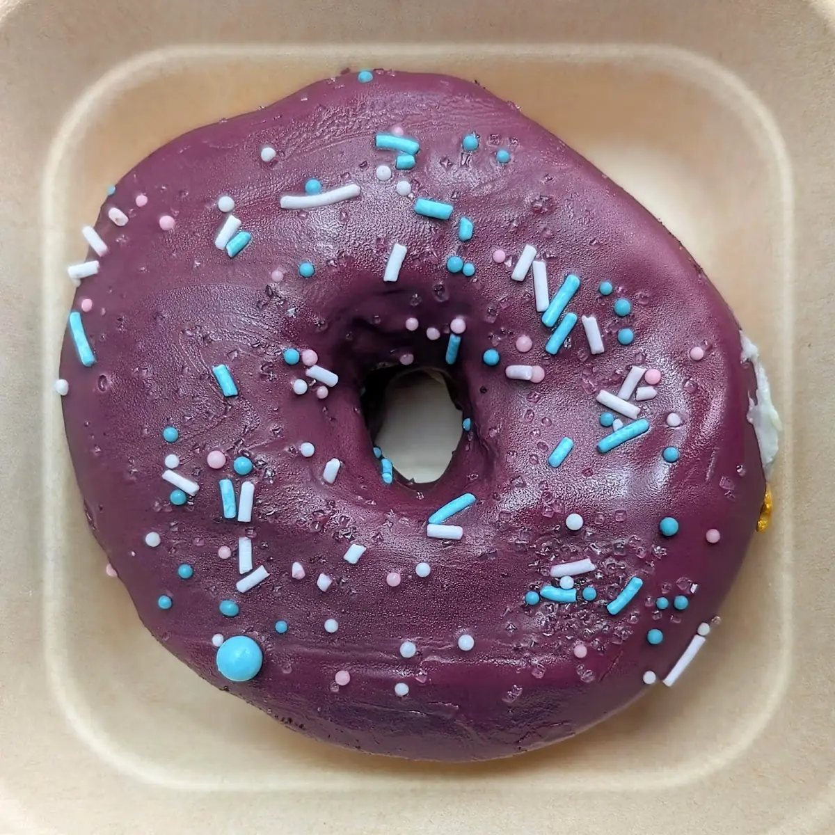 Blueberry Donut