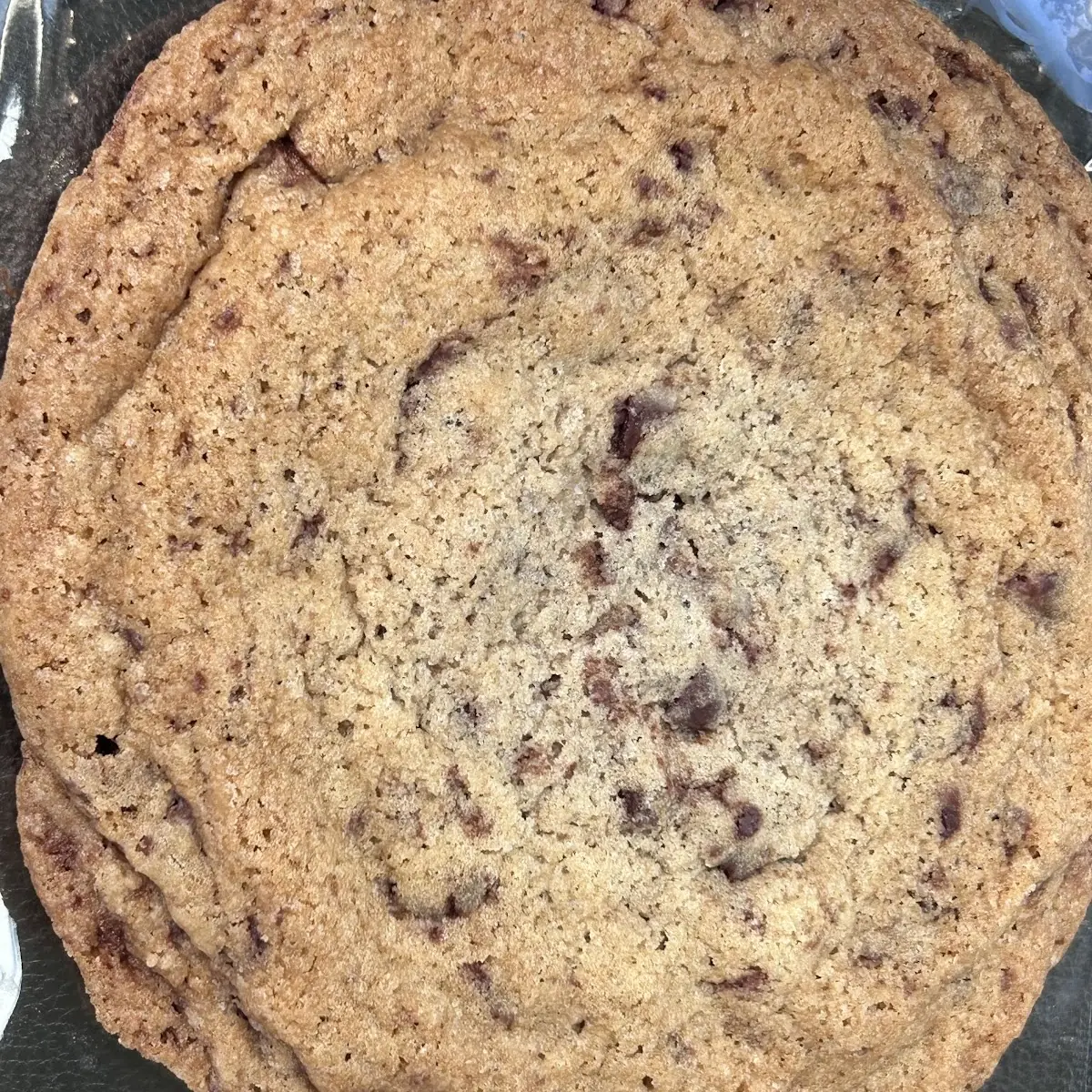 Chocolate Chip Cookie