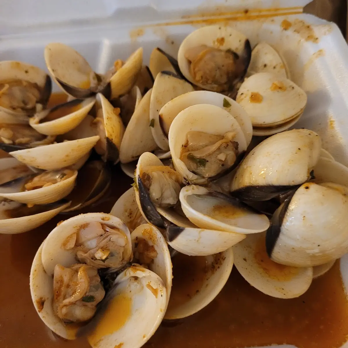 Little Neck Clams