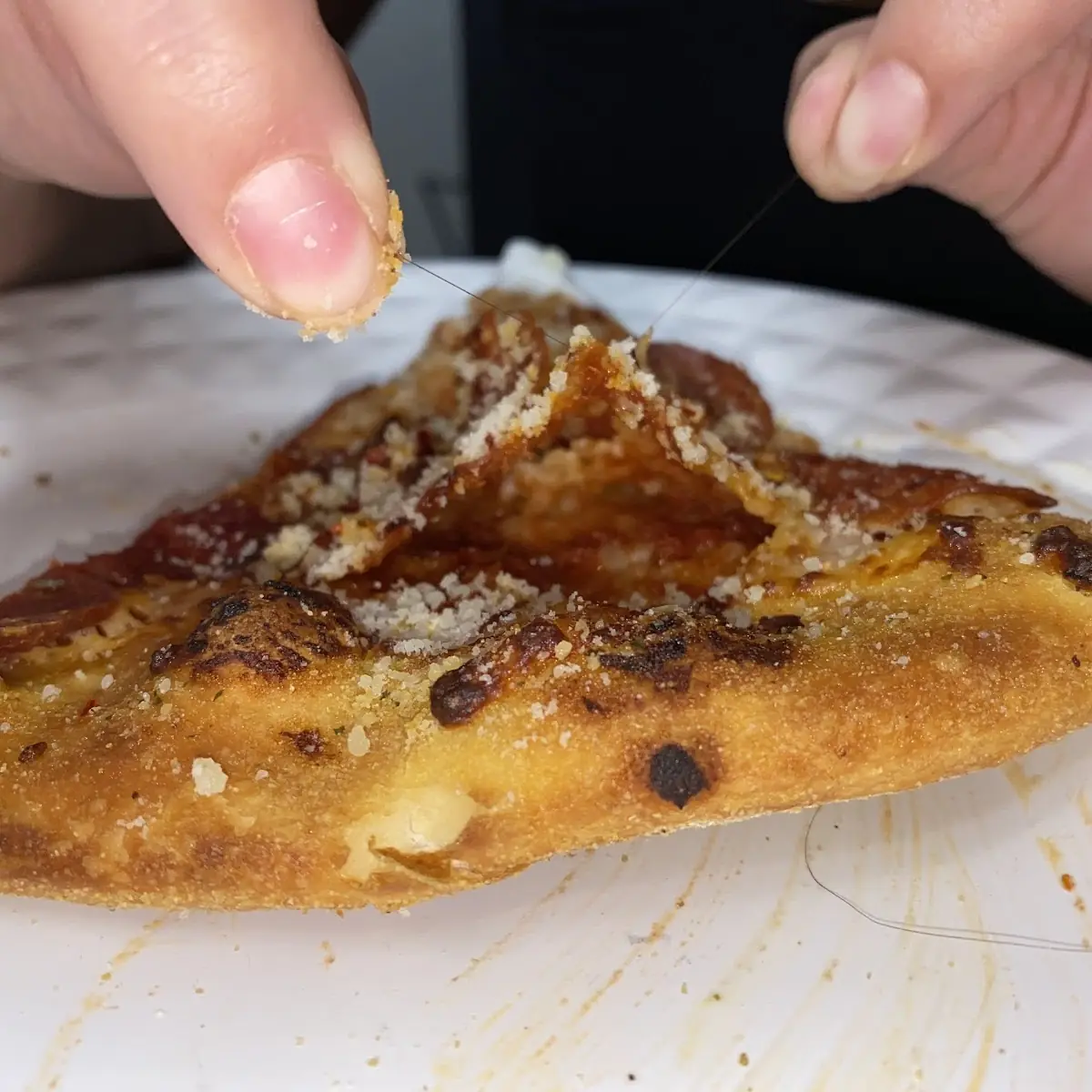 Hair in Pizza