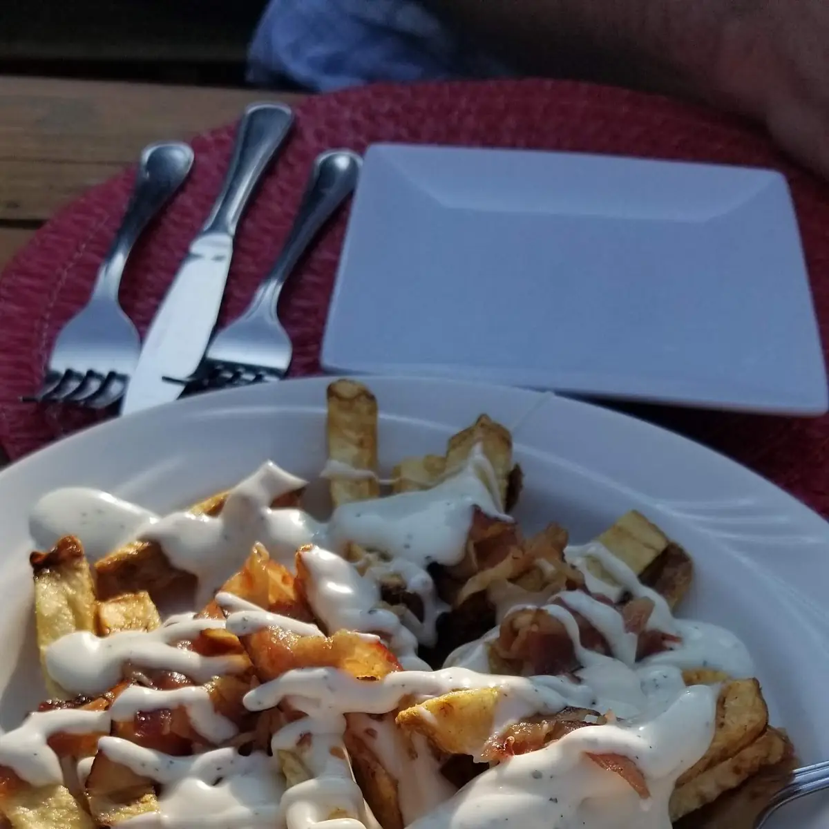 Loaded Fries