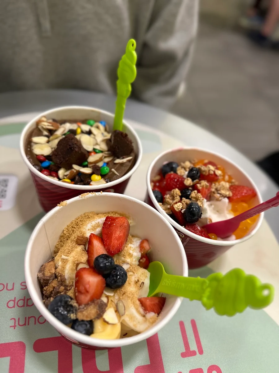 Frozen Yogurt