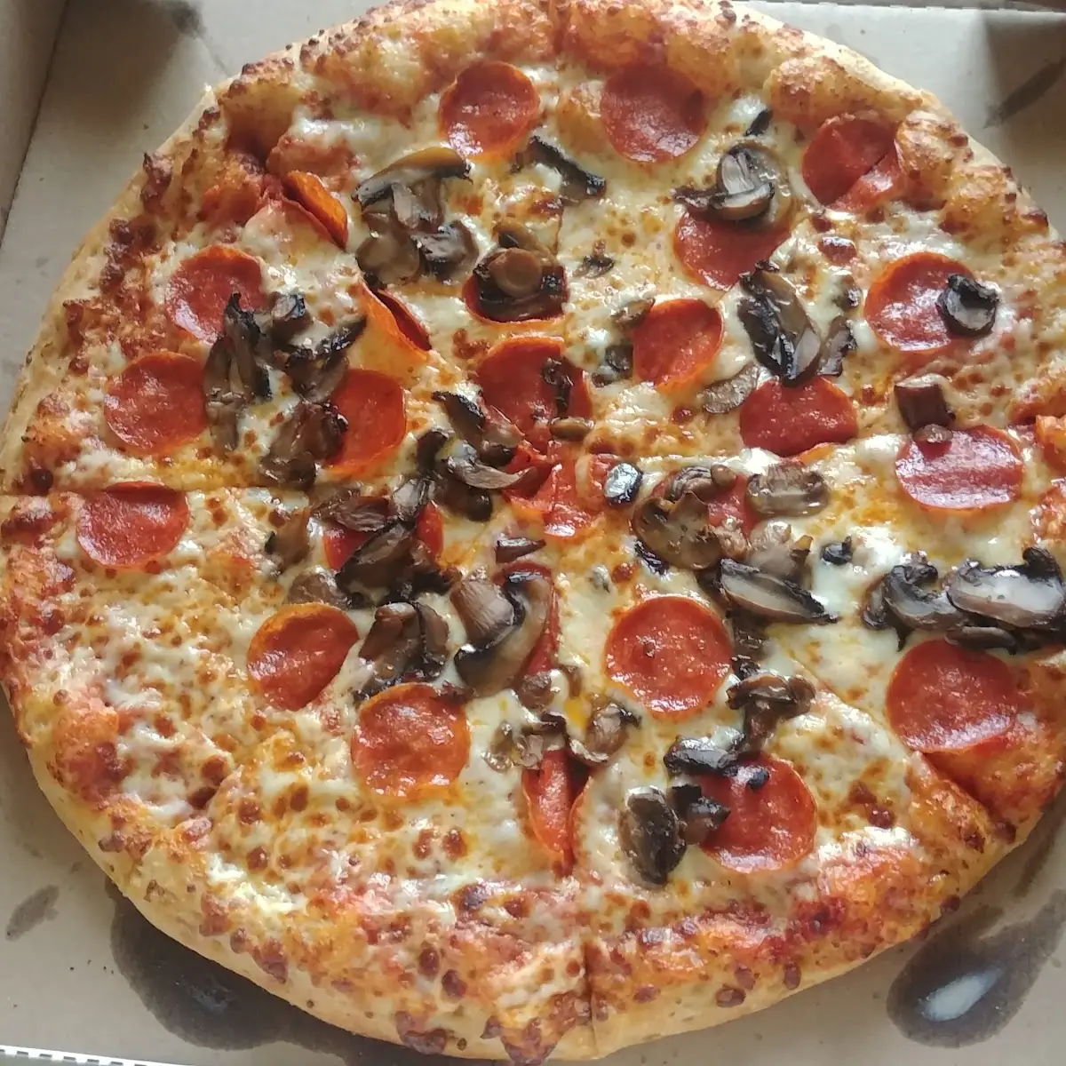 Pepperoni and Mushroom Pizza
