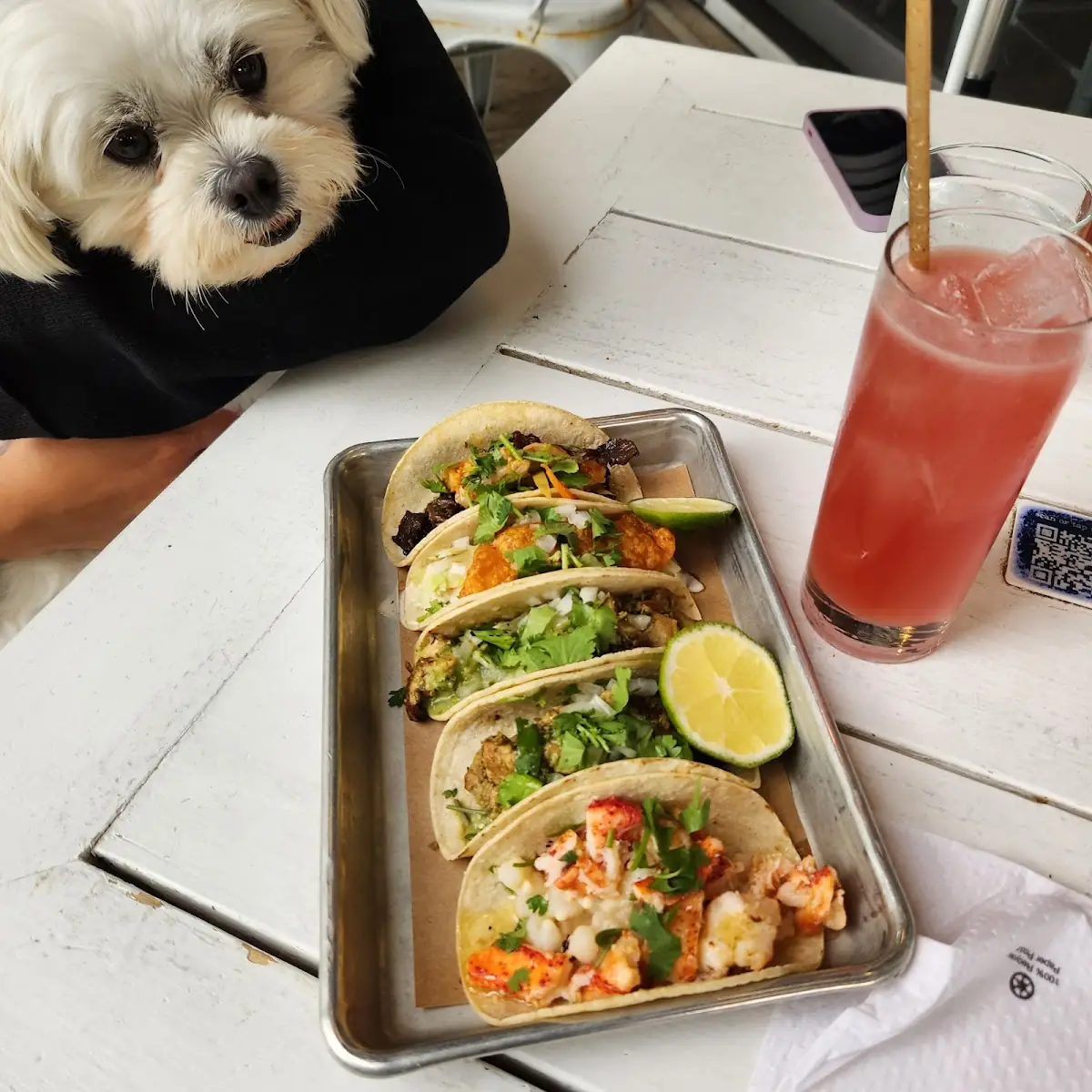 Shrimp Tacos