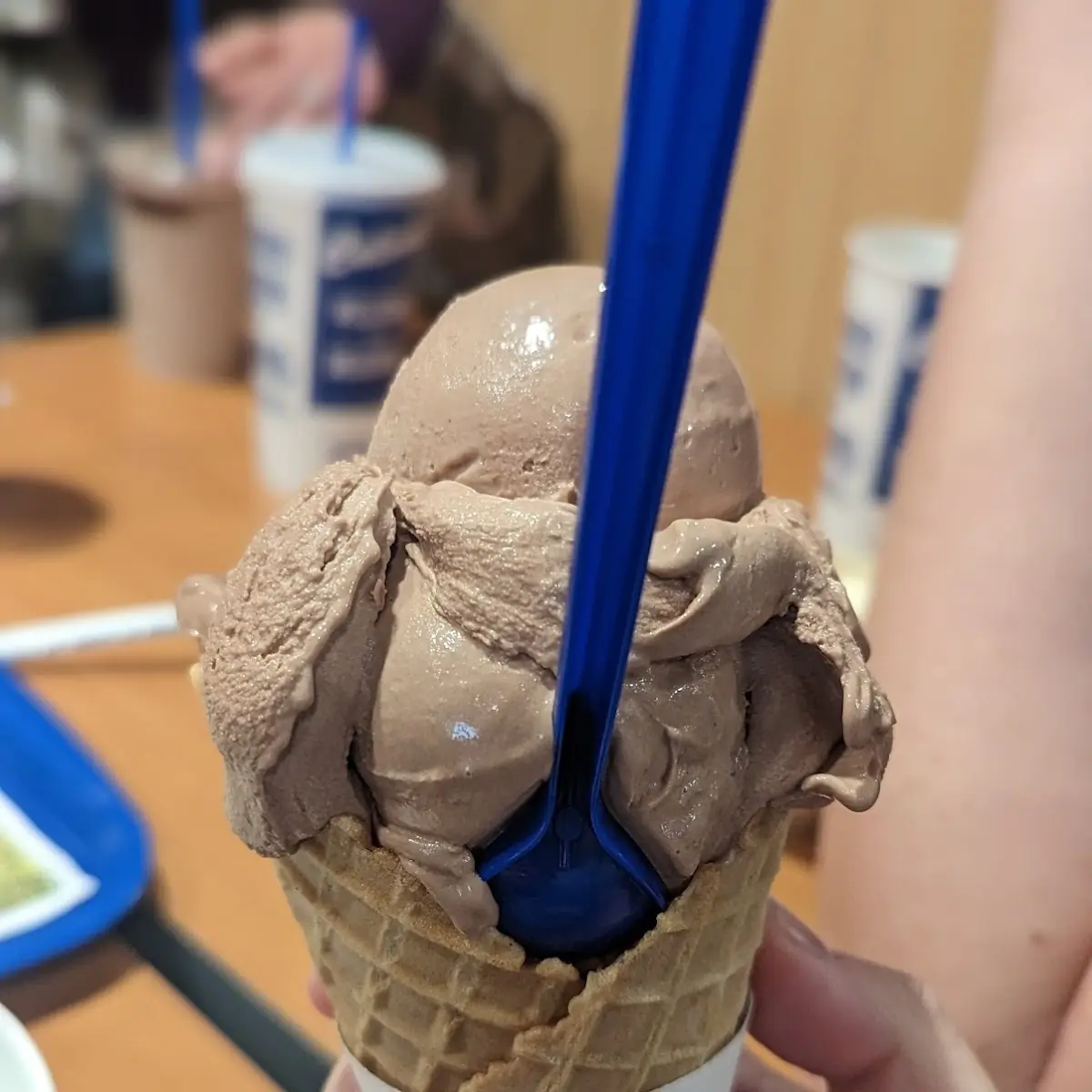 Waffle Cone with Chocolate Custard