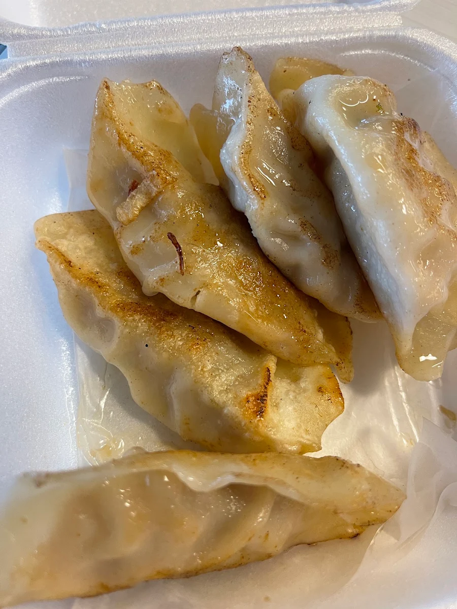 Gyoza, Netsui Sushi & Japanese Grill
