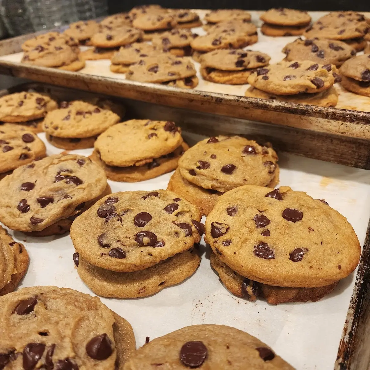 Chocolate Chip Cookies