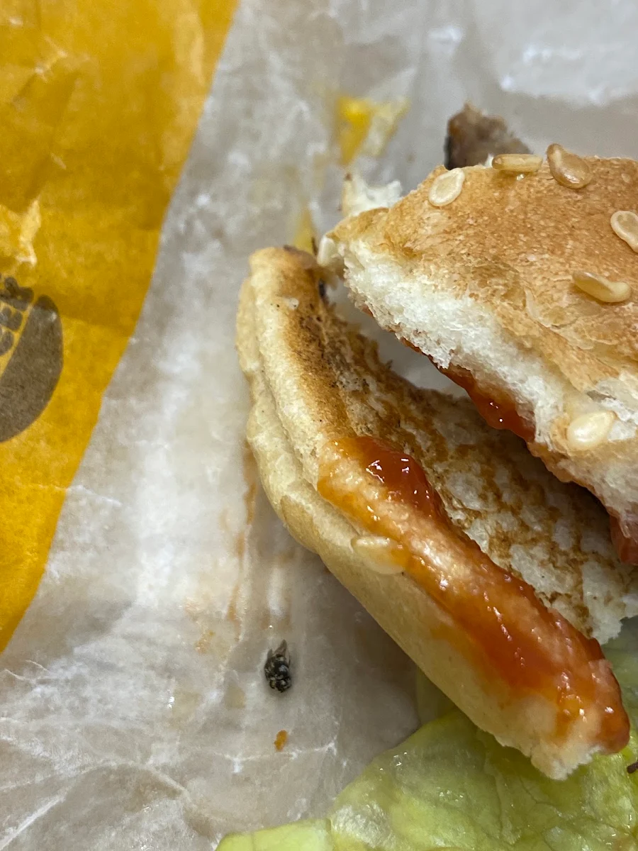 Sausage Egg & Cheese