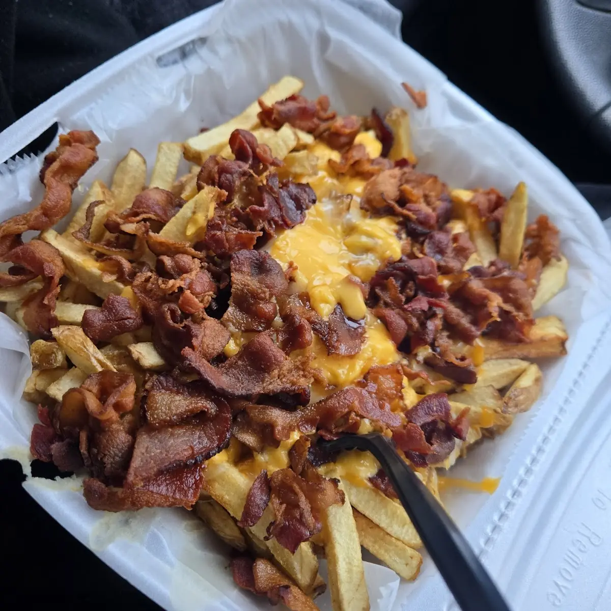 Bacon Cheese Fries