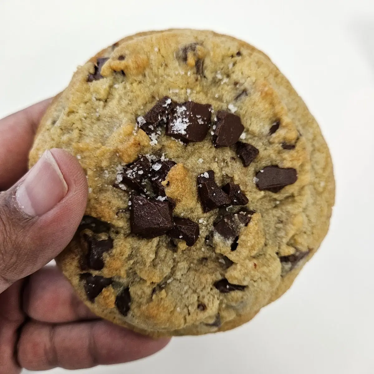 Chocolate Chip Cookie
