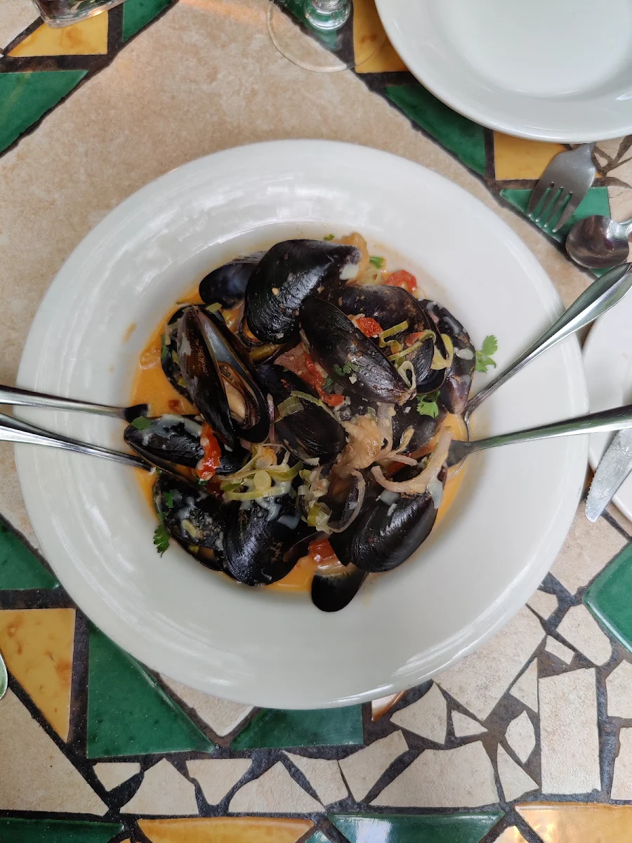 Mussels