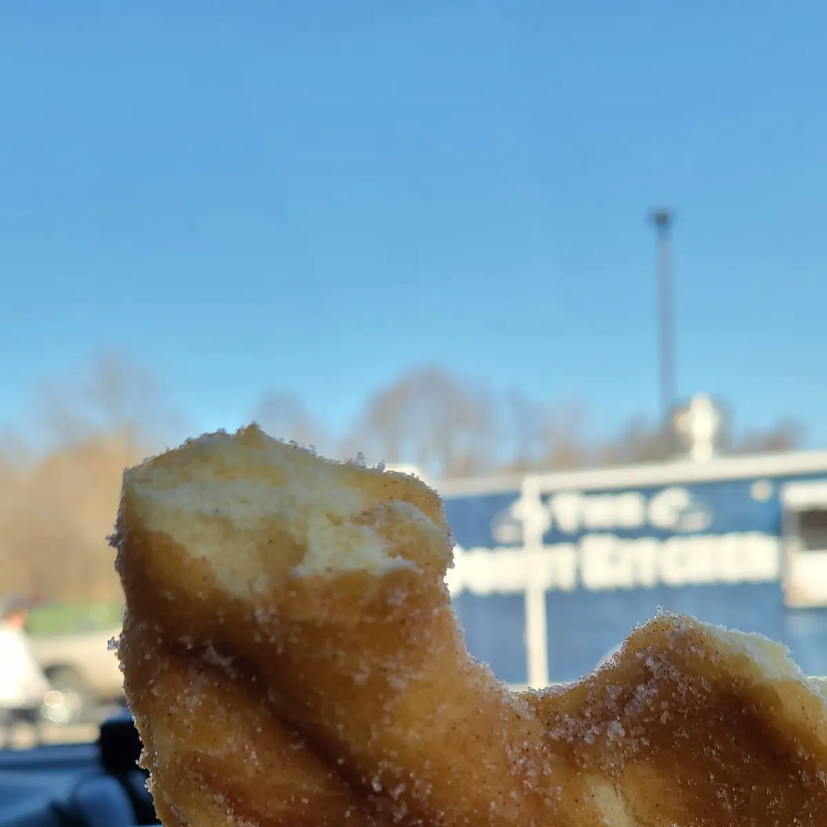 Cinnamon Sugar Donut