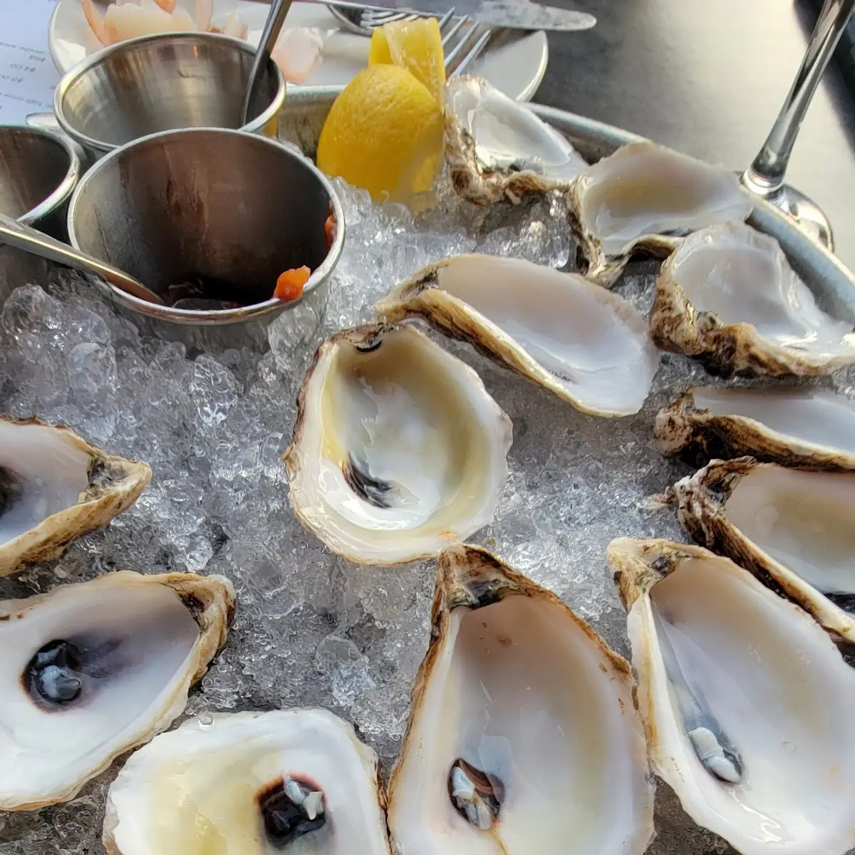 Nova Scotia Oysters on the Half Shell
